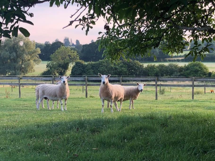 Coach House - Detached Cottage Within 135 Acres Bromyard Exterior foto