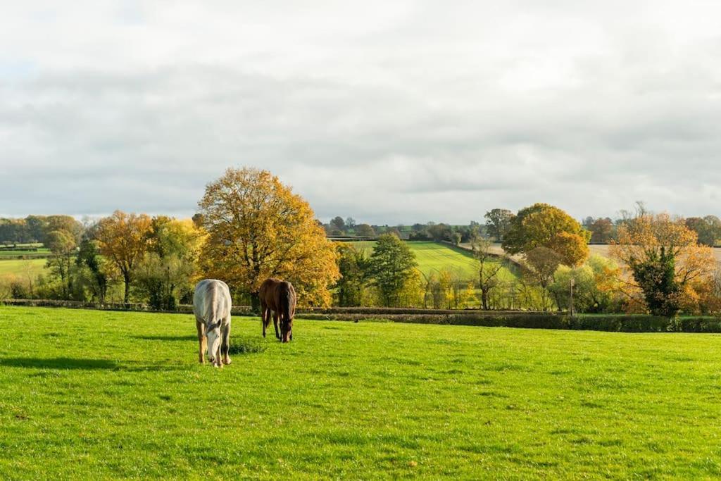Coach House - Detached Cottage Within 135 Acres Bromyard Exterior foto